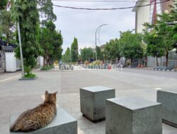 Ada yang Lain dan Berbeda di Kawasan Pedestrian Dago Sukabumi