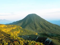 Berencana Mendaki Gunung Gede-Pangrango? Tunda Dulu. Ini Penjelasannya