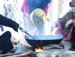 Perjalanan Kopi Nipah Panjang Kalimantan Barat Menembus Pasar
