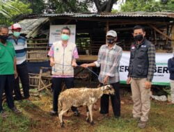 Zakat Produktif, Dompet Dhuafa Bantu Peternak Kecil Jadi Berdaya