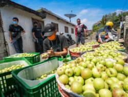 TaniHub Group Gelar Taniversary, Penanda 5 Tahun Layani Sektor Pertanian Indonesia