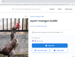 Uniknya Orang RI, Jualan Ayam, Seblak dan Lemari Pakai NFT di OpenSea