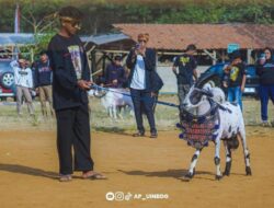 Cipung, Halilintar, dan Ozil Meriahkan Kontes Adu Geulis Domba di Roadshow Desa Wisata