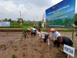 Tahun ini, Lahan Pertanian Pangan Berkelanjutan di Sukabumi Ditarget Bertambah Tiga Hektare