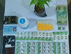 Polisi Tangkap Pengedar Obat Berbahaya dan Miliki Tanaman Ganja di Sukabumi