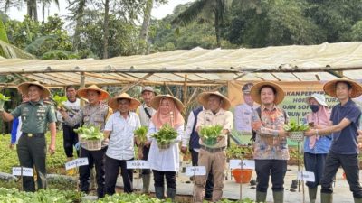 Kebun Wisata Mucekil Sukabumi, Sarana Edukasi Kenalkan Pertanian ke Pelajar