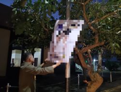 Musim Politik, Pemkot Sukabumi Pastikan tak Tebang Pilih dalam Penertiban Baliho di Jalanan