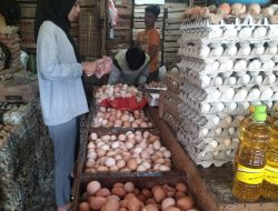 Diskumindag : Harga Telur Ayam di Pasar Tradisional Kota Sukabumi Naik