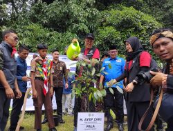 Sukabumi Mulai Gencarkan Aksi Penanaman Pohon