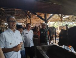 Jelang Idul Adha, Wali Kota Sukabumi Pantau Langsung Lapak Penyedia Hewan Kurban