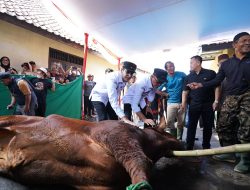 Sapi Kurban Bantuan Presiden Prabowo Disembelih di Masjid Al Mahfudziyyah Sukabumi