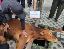 Kurban Bukan Sekadar Ritual, UM Bandung Wujudkan Spirit Sosial di Tengah Masyarakat