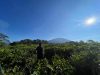 Mimpi Berlibur ke Gunung, Pertanda Naiknya Derajat dan Harapan Baik?