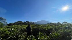 Mimpi Berlibur ke Gunung, Pertanda Naiknya Derajat dan Harapan Baik?