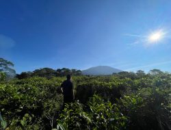 Mimpi Berlibur ke Gunung, Pertanda Naiknya Derajat dan Harapan Baik?