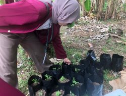 Lumbung Gizi, Harapan Baru Perbaikan Gizi dan Ketahanan Pangan di Desa Wangunsari Sukabumi