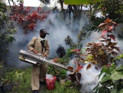 Kasus DBD Mulai Mengintai, Wilayah di Sukabumi Gencarkan Fogging