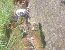 Tim Satgas PB BPBD Kota Sukabumi Gencarkan Monitoring ke Kawasan Rawan Bencana