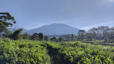 Mulai Senin Ini, Pendakian Gunung Gede Pangrango Ditutup Sementara