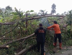 BPBD Kota Sukabumi : Dalam Kurun Waktu Januari-Oktober 2025 Terjadi 175 Kejadian Bencana