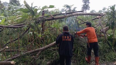 BPBD Kota Sukabumi : Dalam Kurun Waktu Januari-Oktober 2025 Terjadi 175 Kejadian Bencana