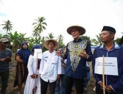 Wali Kota Sukabumi dan Kelompok Tani Gorontalo Tanam Kedelai, Implementasi Nyata Kerja Sama Antardaerah