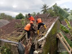 BPBD Tangani Bencana Angin Kencang di 12 Titik Kota Sukabumi, Rumah Warga Rusak hingga Pohon Tumbang