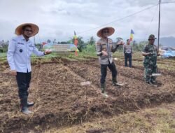 Kota Sukabumi Jadi Bagian Gerakan Penanaman Jagung Serentak