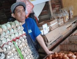 Hari ke-7 Ramadhan, Harga Telur di Sukabumi Naik Jadi Rp 32 Ribu/Kg, Daging Ayam dan Cabai Kompak Turun!