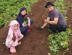 Belajar dari Alam, Menanam Nilai Kehidupan