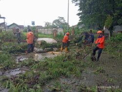 Pohon Tumbang dan Rumah Rusak Akibat Angin Kencang di Sukabumi, BPBD: Tak Ada Korban Jiwa