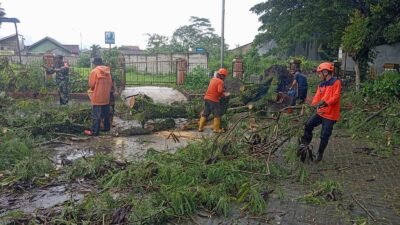 Pohon Tumbang dan Rumah Rusak Akibat Angin Kencang di Sukabumi, BPBD: Tak Ada Korban Jiwa