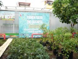 Pertamina Patra Niaga Regional JBB dan Pemprov DKI Jakarta Gelar Panen Raya Serentak di RPTRA Sunter Jaya
