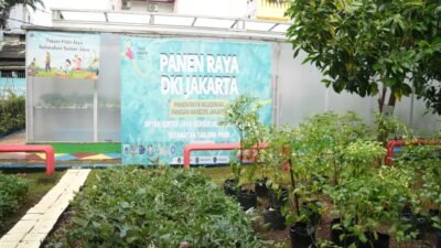 Pertamina Patra Niaga Regional JBB dan Pemprov DKI Jakarta Gelar Panen Raya Serentak di RPTRA Sunter Jaya