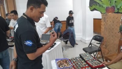 Potensi Batu Akik Sukabumi Dinilai Menjanjikan, Diskumindag Kota Sukabumi Siap Genjot Promosi