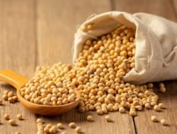 Harga Kedelai Impor di Sukabumi Terus Naik, Dampak Gejolak Global Mulai Terasa di Pasar Tradisional