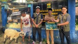 PT Daya Mas Cisolok Geothermal Salurkan Bantuan 1 Ekor Sapi dan 29 Domba untuk Hewan Qurban Idul Adha 1447 H  