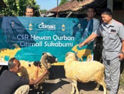 Idul Adha 2026, Citimall Sukabumi Bagikan Hewan Kurban untuk Masyarakat Sekitar