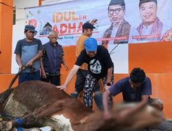 PKS Kota Sukabumi Semarakkan Syiar Dzulhijjah 1447 H dengan Tebar Qurban ke Berbagai Wilayah