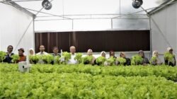 UM Bandung Kembangkan Green House Berbasis Teknologi