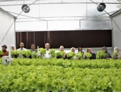 UM Bandung Kembangkan Green House Berbasis Teknologi