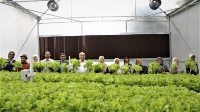 UM Bandung Kembangkan Green House Berbasis Teknologi