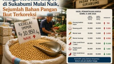 Harga Kedelai Impor di Sukabumi Mulai Merangkak Naik, Sejumlah Bahan Pangan Ikut Terkoreksi