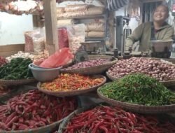 Harga Cabai Merah Besar TW di Kota Sukabumi Naik Jadi Rp 40.000 per Kilogram