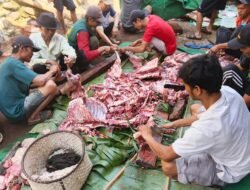 Tak Sekadar Ritual, Kurban PAI UM Bandung Hadirkan Harapan dan Kebahagiaan Bagi Warga Pelosok