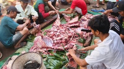 Tak Sekadar Ritual, Kurban PAI UM Bandung Hadirkan Harapan dan Kebahagiaan Bagi Warga Pelosok