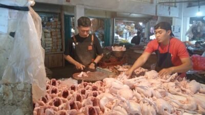 Harga Daging Ayam di Kota Sukabumi Naik, Komoditas Pokok Lain Masih Stabil