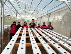 Pertamina Patra Niaga RJBB Perkuat Program Katasik melalui Pelatihan Hidroponik di Tasikmalaya