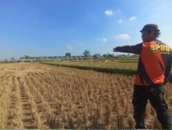 BPBD Kota Sukabumi Petakan Lahan Pertanian Rawan Kekeringan, Antisipasi Dampak Musim Kemarau