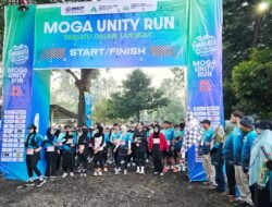 Lari Sambil Nikmati Alam, INSIP Sukses Gelar Moga Unity Run 2026